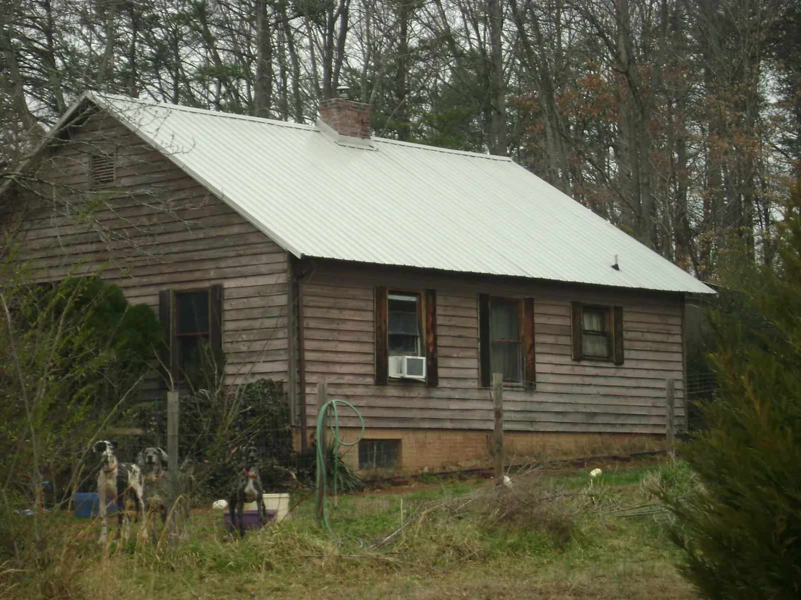 White metal roof on an old wood sided farmhouse, from a Asphalt Shingle Roof Repair job in Urbana